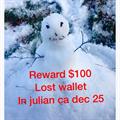 Lost brown Micheal kors wallet dec 25,2016 in Julian california 