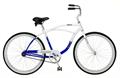 Stolen Schwinn Blue/White Cruiser Bike (Downtown Jackson)