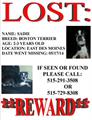 Lost Family Dog *Reward If Returned* (East Des Moines)