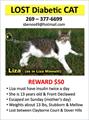 $50.00 Cash Reward! Lost Cat (Clayborne Ct/Dover Hills area Kzoo)