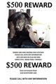 500.00 Reward Two Lg Dogs One White One Black (Argle Denton)